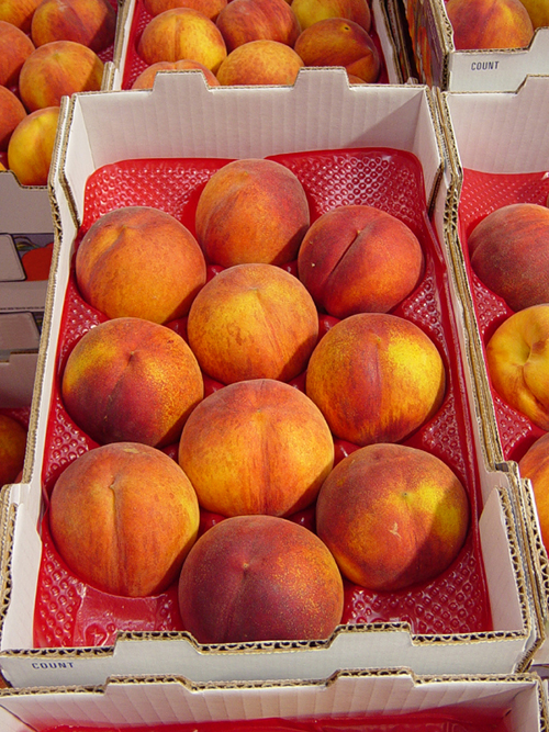 performance-bubble-wrap-fruit-packaging